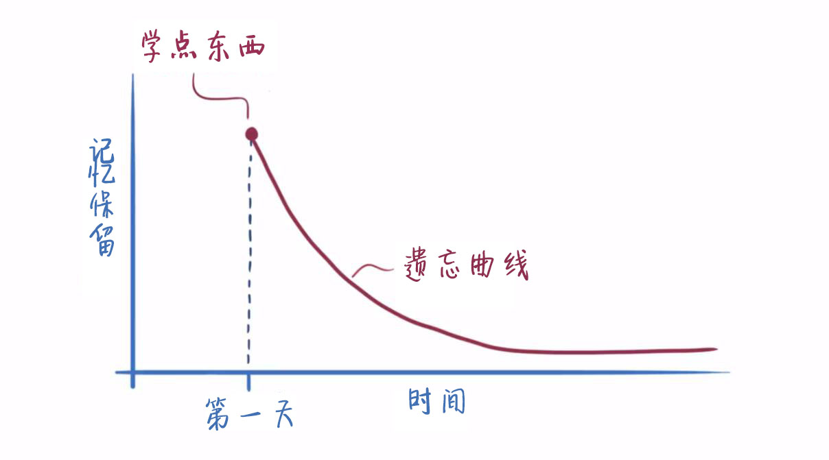 遗忘曲线