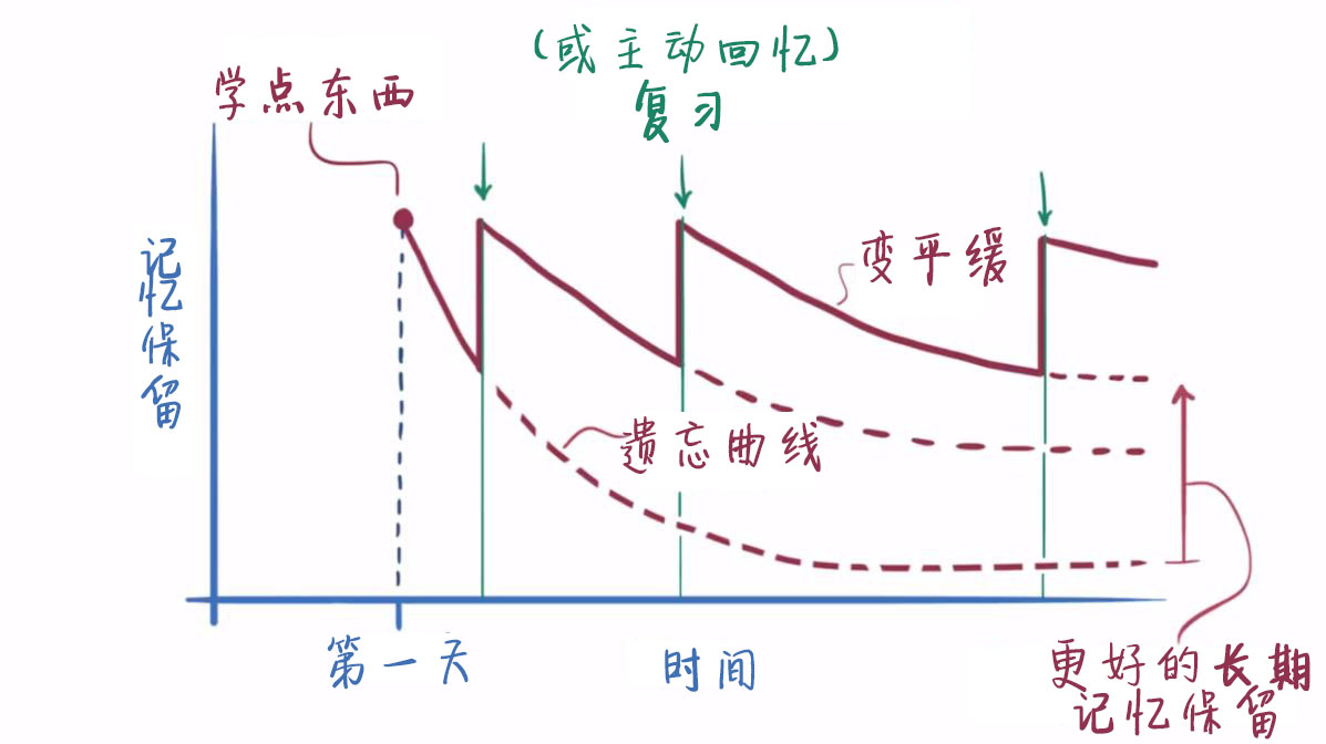 长期记忆